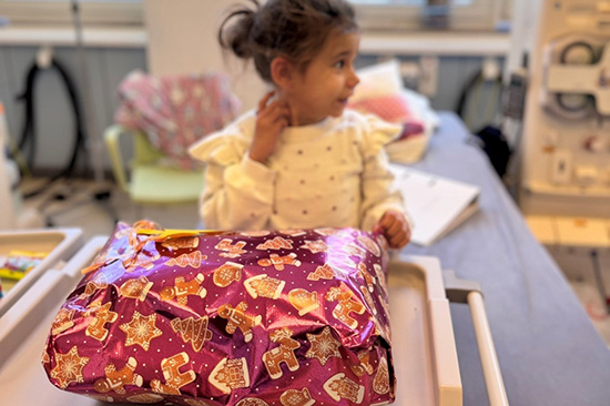 Wunschbaumaktion des BMAS